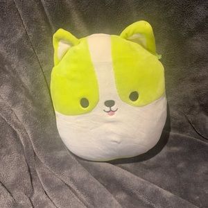 RARE SQUISHMALLOW - Bright Squad - Reginald the Corgi 🐾